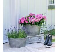 Ivyline Outdoor Galvanised Trough H28cm W40cm in Silver Ivyline Silver