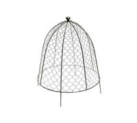 Ivyline Outdoor Wire Netted Plant Protector - Zinc - Medium