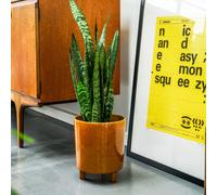 Ivyline Pisa Mustard Planter, H24cm x D20cm Ivyline Mustard