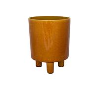 Pisa Plant Pot Mustard