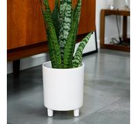 Ivyline Pisa Premium Glaze Ceramic Planter in White - Stylish, UV Stable & Waterproof - Premium Quality Indoor Decorative Flower Pot - H24cm x D20cm