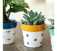 Ivyline Planter, Ceramic, Bumble Bee, 7 x 7cm