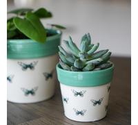 Ivyline Planter, Ceramic, Butterfly, 7 x 7cm