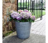 Ivyline Ribbed Galvanised Plant Pot, D37cm in Mid Grey Ivyline Mid Grey