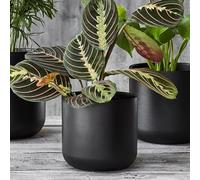 Ivyline Round Lisbon Planter in Dark Grey - Waterproof & Durable - Contemporary Premium Glazed Decorative Indoor Ceramic Flower Pot - H26cm x D26cm