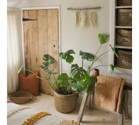 Seagrass Linen Basket Plant Pot Natural