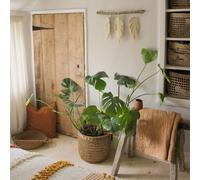 Seagrass Linen Basket Plant Pot Natural