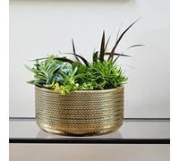 Solis Embossed Bowl Gold, H15cm x D30cm Ivyline Gold One Size