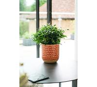 Ivyline Titian Reactive Glaze Planter H16Cm D16Cm