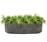 Ivyline Tivoli Trio Planter in Earth - UV Stable, Waterproof & Lightweight - Durable Stylish Decorative Indoor Flower Houseplant Pot - H10cm x D32cm
