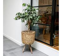 Ivyline Water Hyacinth Lined basket on Legs