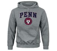 Ivysport Hooded Sweatshirt, Cotton/Poly Blend, Heritage Logo Grey - grey - S