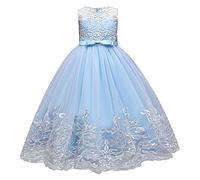 IWEMEK Embroidery Flower Girls Sleeveless Applique Lace Tulle Princess Dress Bridesmaid Wedding Birthday Pageant Party First Communion Kids Prom Dress Maxi Long Ball Gown #A: Light Blue 5-6 Years