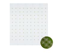 iwiio 100Pcs Ear Seeds Acupuncture ACU Seeds Gold Ear Seeds Auricular Sticker Ear Seeds for Anxiety, Self-Care Acupressure Beads, Acuseeds Ear Seeds for Adults and Kids (100)