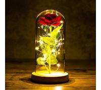 Iwinna Romance Eternal Life Flower Glass Cover Beauty and Beast Rose LED Battery Lamp Birthday Valentine's Day present Mother Gifts