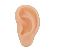IWOWHERO 1pc Ear Model for Teaching Realistic Simulation Ear for Acupuncture Practice Left Display Model and Smooth Texture for Healthcare Education