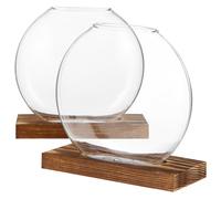 IWOWHERO 2 Sets of Clear Glass Vases with Base Small Plant Terrarium Vases for Home Decor Ideal for Hydroponics and Decorative Floral Arrangements