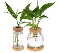 IWOWHERO 2pcs Hydroponic Glass Propagation Jars 6.5x12cm with Cork Lids, Wooden Stands, and Small Oval Containers for Indoor Water Planter Terrarium Plants