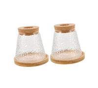 IWOWHERO 2pcs Hydroponic Glass Vase for Plants with Tray and Lid Multifunctional Plant Propagation Station for Home and Office Decor for Gardeners and Lovers