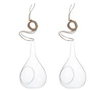 IWOWHERO 2Pcs Hydroponic Glass Vases Hanging Wall Planters for Succulents and Small Plants, Conical Glass Flowerpots for Indoor Home Decoration