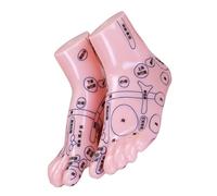 IWOWHERO Foot Reflexology Acupuncture Model for Tcm Education Comprehensive Foot Simulation Tool for Training Clinics and Schools Realistic Mapping