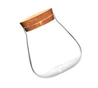 IWOWHERO Glass Terrarium Jar with Cork Stopper Small Glass Vase for Micro Landscape and Moss Ball Display DIY Craft Pot for Home Garden Decoration