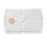 IWOWHERO Seasoning Storage Box for Fridge Draining Function White Kitchen Organizer for Spices and Meal Prep Boxes for Keeping Fresh in Refrigerator