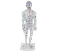 IWOWHERO Traditional Chinese Acupuncture Model Human Body Acupoint Training Display with Precise Meridian Mapping for Students and Professionals Educational Use