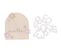 IWOWHERO Wooden Monthly Progress Cards Set with 12 Discs for Newborn Photography Monthly Growth Signs for Boy and Girl for Newborn Development Tracking