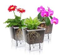 IWTTWY Self Watering Plant Pot Set Pack of 3, Modern Clear Planters for Indoor Plants with Reservoir and Wick Cord, Flower Pots for Orchid, African Violet, Rose, Tulips (3 Medium)