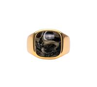 IX Studios Turtle Agate Signet Ring Goldplated Silver DMN0282GDTA54 - Unisex - 925 Sterling Silver Brown/Gold 54