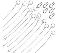 Iyowei Stainless Steel Picture Hanging Wire, 2mm x 30cm, Polished Finish, 12Pcs Adjustable Wire Ropes with Buckles, WNJ-12xgshengsuo, Up to 18KG