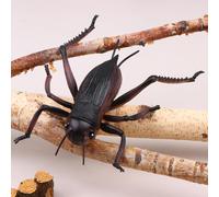 IYSHOUGONG Lifelike Miniature Bugs Toys: Ant, Spider, Scorpion, Beetle, and Dragonfly Play Figurines for Halloween, Party Decoration, Sensory Bin, Creepy Crawlers Toys for Toddler Boys Girls