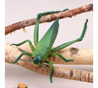 IYSHOUGONG Lifelike Miniature Bugs Toys: Ant, Spider, Scorpion, Beetle, and Dragonfly Play Figurines for Halloween, Party Decoration, Sensory Bin, Creepy Crawlers Toys for Toddler Boys Girls
