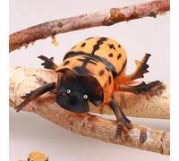 IYSHOUGONG Lifelike Miniature Bugs Toys: Ant, Spider, Scorpion, Beetle, and Dragonfly Play Figurines for Halloween, Party Decoration, Sensory Bin, Creepy Crawlers Toys for Toddler Boys Girls