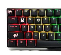 IYTYIR Overwatch Backlit Hero Keycap Set Gaming Keyset Key Cap for Cherry MX Mechanical Keyboard DVA Mercy Ana (DVA)