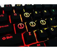 IYTYIR Overwatch Backlit Hero Keycap Set Gaming Keyset Key Cap for Cherry MX Mechanical Keyboard DVA Mercy Ana (WASD)