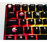 IYTYIR Overwatch Backlit Hero Keycap Set Gaming Keyset Key Cap for Cherry MX Mechanical Keyboard DVA Mercy Ana (Genji)