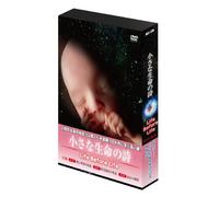 ¬‚³‚ȶ-½‚ÌŽ LIFE BEFORE LIFE [DVD]