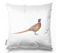 Izabela Peters Cushions With Covers, Filled, Eco-Friendly Velvet, 45 cm, Pheasant - White, for Chair, Sofa, Seat, Large