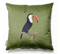 Izabela Peters Cushions With Covers Included, Filled Cushion, Eco-Friendly Velvet Cushions, 40 cm, Toucan - Sage, Chair Cushions, Sofa Cushions, Seat Cushions, Large Cushions
