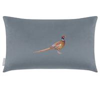 Izabela Peters Cushions With Covers Included, Filled Cushion, Eco-Friendly Velvet Cushions, 50 x 30 cm, Pheasant - French Grey, Chair Cushions, Sofa Cushions, Seat Cushions