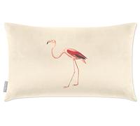 Izabela Peters Cushions With Covers Included, Filled Cushion, Eco-Friendly Velvet Cushions, 55 x 35 cm, Flamingo - Ivory Cream, Chair Cushions, Sofa Cushions, Seat Cushions