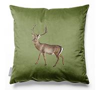 Izabela Peters Cushions With Covers Included, Filled Cushion, Eco-Friendly Velvet Cushions, 60 cm, Stag - Sage, Chair Cushions, Sofa Cushions, Seat Cushions, Large Cushions