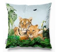 Izabela Peters Eco-Friendly Velvet Cushions - Big Cat Family, 45 cm, Duck Egg Blue - Chair, Sofa & Seat Cushions