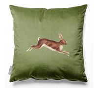 Izabela Peters Eco-Friendly Velvet Cushions With Covers, 40 cm, Hare - Sage, Filled Chair and Sofa Seat Cushions