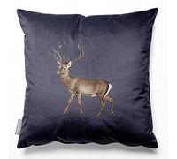 Izabela Peters Eco-Friendly Velvet Cushions With Covers Included, 50 cm, Stag - Graphite, Large Chair and Sofa Seat Cushions