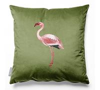 Izabela Peters Eco-Friendly Velvet Cushions With Covers Included, 60 cm, Flamingo - Sage, Chair & Sofa Seat Cushions