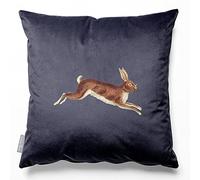 Izabela Peters Eco-Friendly Velvet Cushions With Covers Included, 60 cm, Hare - Graphite, Chair & Sofa Cushions