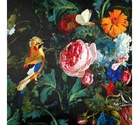 Izabela Peters Luxury Upholstery Curtain Fabric - Eco-Friendly Velvet - Designer Blind, Craft, Sewing Fabric by The Metre - Birds in Paradise - Charcoal - 1/2 Metre